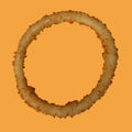 AROS DE CEBOLLA NATURALES